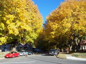 Fall in downtown Coeur d'Alene!